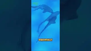 World-First 