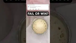 Fail or win?