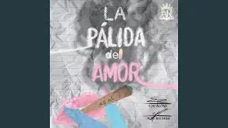 Te Odio