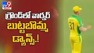 David Warner dances to &lsquo;Butta Bomma&rsquo; song during Aus vs Ind 1st ODI - TV9