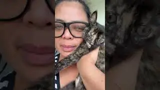 New friend Mezzo #mezzo #cat #friendscat #shortvideo #cute #shorts