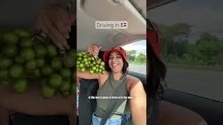 Would you drive in the Dominican Republic? #santodomingo #dominicana #dominicanrepublic #travelvlog