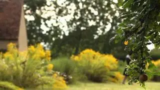Festival International du Film Touristique - Meilleur Sc&eacute;nario : S&eacute;rie berry province