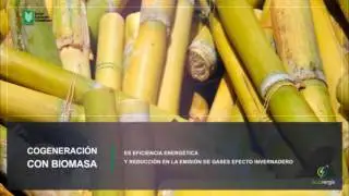 Cogeneraci&oacute;n con BioMasa Asoca&ntilde;a