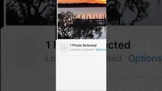iPhone: convert Live photo to video with sound! #shorts