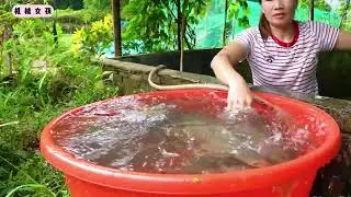 排空鱼池的水，捕获重达20斤的甲鱼和大量鲤鱼现场卖给村民 #我的乡野山居生活 #乡村生活 #捕鱼