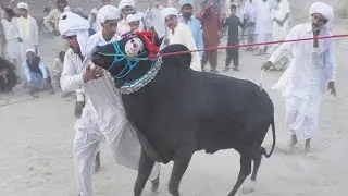 Wesakhi Mela Khalil Khokhar Riaz Abad Zila Layyah 03044712443 waseem 4k movies