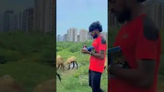 roll number 🤣🤣#funny #youtube #viral #short