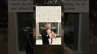 Blind Man's Service Dog Stolen and This Happened