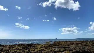 Gylly Beach | Falmouth | Gorgeous Sunshine (I)