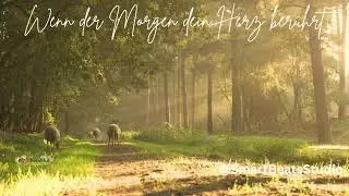🌅 Wenn der Morgen dein Herz ber&uuml;hrt 🌸 | Guten-Morgen-Song 2025 | #jojoherzblut