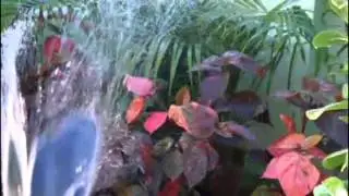ISB YLP VIDEO (ShortListed)