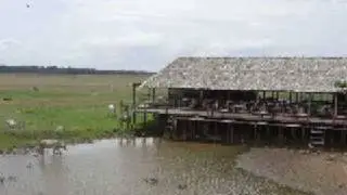 Osmar Junior - Macapa-Amapa-Brésil