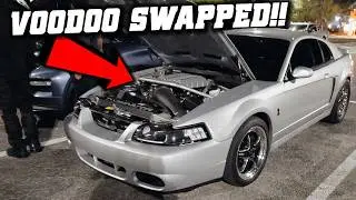 First Voodoo Swapped TERMINATOR Cobra I Have Ever Seen!  (BOOSTED)