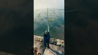 FISHING GUIDE - Valheim #Shorts