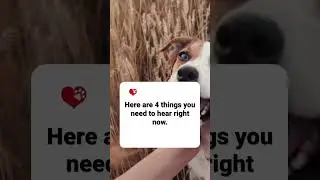 Grieving the Loss of a Dog: What You Need to Hear Right Now (See Full Video in Desc.)