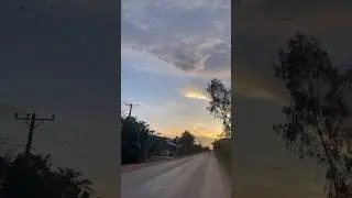 Flying Birds on the Sky #tiveapictures #birds #reels #reelsinstagram #shorts #tiktok