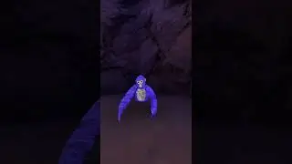 Самый быстрый забег в Gorilla Tag.