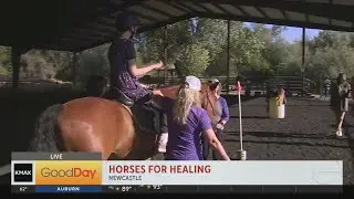 Horses for Healing fundraiser - Newcastle