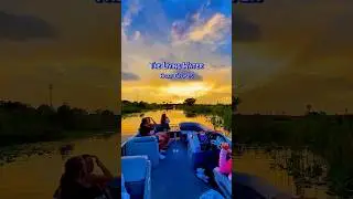 Sunset Cruises near Orlando, Florida! The best sunset and value in #florida!  #shorts #travelshorts