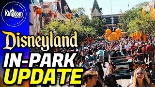 Disneyland Update: BUSY Labor Day Crowds, New Food & More!