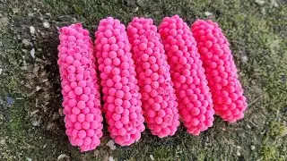 Thousands of Mysterious Pink Egg Clusters Found in Nature!!
