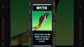 Uncovering the Truth: Myths vs Facts