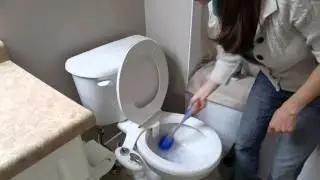 Norwex Blue Diamond, Ergonomic Toilet brush & EnviroCloth- Washroom Cleaning Made Easy