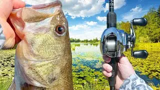 Fishing SECRET Backwaters FULL Of Monster Bass!