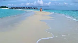 Sharks love us  🇲🇻  (Kuramathi Resort, Maldives)