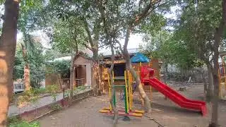 Tiger king Reserve Tadoba