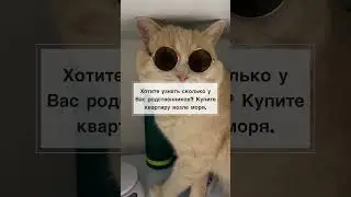 ТИПИЧНЫЕ РОДСТВЕННИКИ 🤣 #юмор #dog #cat  #comedy #shorts