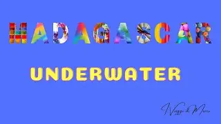 Madagascar Underwater