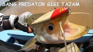 GARANG SEKALI LAIS TEMBIRING NYA//MANCING LAIS TABIRING SUNGAI KAHAYAN KALIMANTAN #16