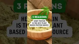 3 Reasons to Take Hemp Protein #plantbased #veganprotein