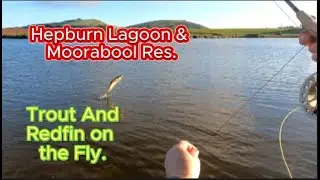Fly Fishing Hepburn Lagoon & Moorabool Reservoir. Oct 2023.