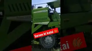 sarsonkikatai #sarson #trending #mostviralvideo #harvesting #harvest #up #khetkikatai #mehant #work
