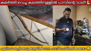 അടുക്കളയിൽ കേറിയ പാമ്പിന്റെ ബുദ്ധി!!😂😂 SNAKE MANIAC | SNAKE | TRINKET SNAKE | KITCHEN | RESCUE