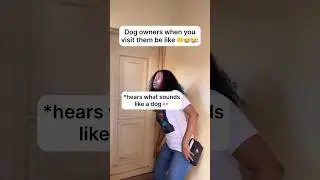 Dog owners when you visit them be like&hellip; 😭🤲😂 #shorts