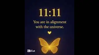 You are in alignment with the universe ♾️ #starsecret