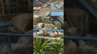 Ron Jons Surf Shop! #shorts #viral #youtubeshorts