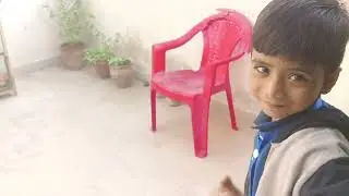 Haim or Macse 🐈 Ki Mastiya | Saim Haim Vlog