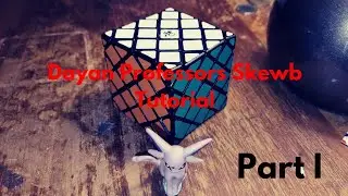 Dayan Professors Skewb Tutorial (Part 1)