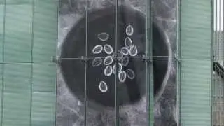 Nari Ward: Divination X