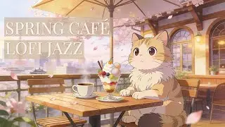 Lofi Jazz Study Music 🌸 Lofi Music For Sleep and Calm ☕ Cherry Blossom Cafe