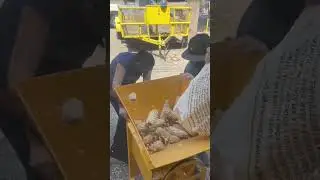 Desgranadora de ma&iacute;z a gasolina #maiz #desgrane #agricultura