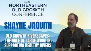 Shayne Jaquith - Old Growth Riverscapes: The Role of Large Wood in Supporting Healthy Rivers