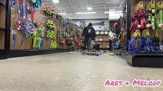 Dog obedience school | puppy training | Fredericksburg dog Lovers | puppy love | OBKS 