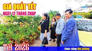 Giá Quất Tết ngày 12 tháng Chạp tại đường Tôn Đức Thắng
