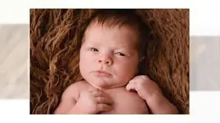 Baltimore Newborn and Family Photographer